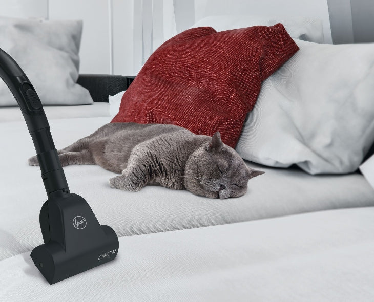 Our best vacuum cleaners for pet hair